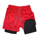 Shorts Ante Roubo